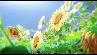 1 hour of Beautiful & Emotional Anime OSTs | stress relief