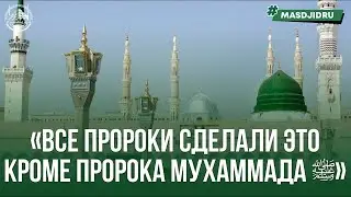 ВСЕ ПРОРОКИ СДЕЛАЛИ ЭТО КРОМЕ ПРОРОКА МУХАММАДА ﷺ