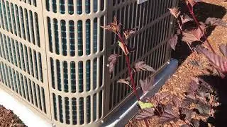 Heat Pump 19 SEER  (253)754-5441