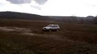 forester in the field