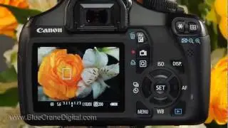 Introduction to the Canon Rebel T3 / 1100D: Basic Controls
