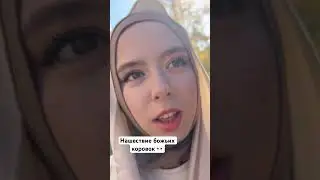 Осеннее нашествие божьих коровок на Хабаровск.