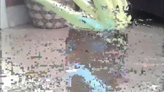 Stop Motion Fight