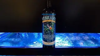 Does Vibrant Reef Aquarium Cleaner Work? - Algae Eating Bacteria - Roma Aquatics 🆒