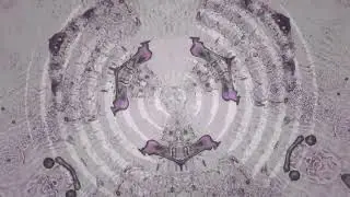 ACID TECHNO | £umie - D¡men¡!on