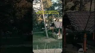 Habang Tumatanda!