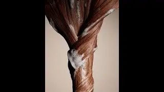 А вы верно ухаживаете за волосами? #shorts #hairstyle #уходзаволосами #hair #hairstyle #hair