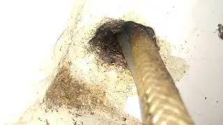 Дезинсекция