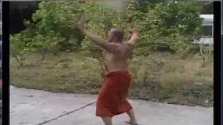 Shihan Mon - White Crane Kata