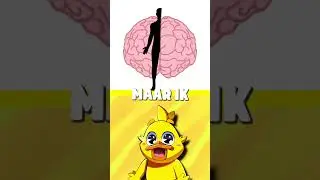 LINKS of RECHTS?🧠🤔