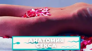 СЕКС ВО ВРЕМЯ МЕСЯЧНЫХ 🌹. Развенчиваем мифы