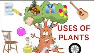 PLANTS- OUR GREEN FRIENDS/ USES OF PLANTS / EVS/ Class 1/NCERT