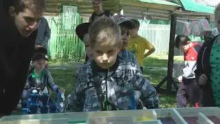 ОД2022 кратко