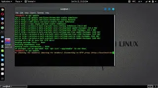 Kali Linux Начальный курс от А до Я часть 1