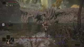 ELDEN RING Agheel