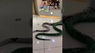 Scared!