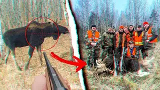 Driven Elk Hunt. We caught a bull🔥Elk is dead!