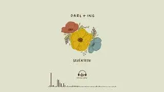 SEVENTEEN - Darl+ing (Orchestra Cover)