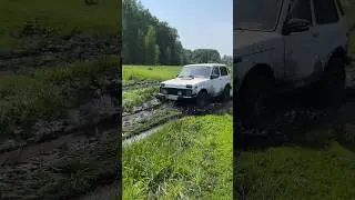 «Нива» и УАЗ развлекаются на бездорожье