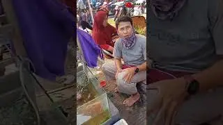 Pasar Pagi Telaga Harapan || Perumahan Telaga Harapan 