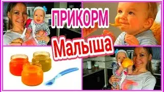 ПРИКОРМ МАЛЫША. С ЧЕГО НАЧАТЬ? КОГДА? КАК ГОТОВИТЬ? КАК ХРАНИТЬ? МОЙ ОПЫТ