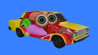How to Drive a Car