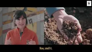 Soil Health Tests: Soil Smell