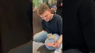 Кстати, его зовут Кабан 😂💚 