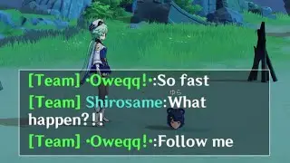 I used DPS Sucrose And It Went Really Well In Genshin Impact Co-op
