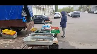 Воронеж! Продуктовый рынок на Южно-Моравской улице!)