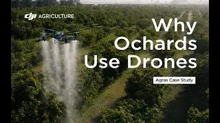 Why Orchards Use Drones