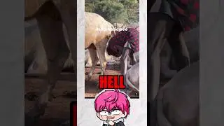 MEME REVIEW #183
