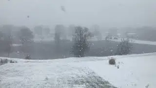 Snow Jan 2025