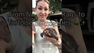 From Night-Drop Rags to Tortoisetopia Riches
