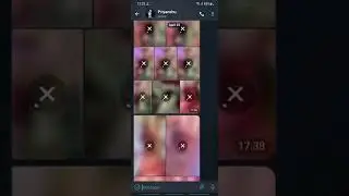 How to copy text from Telegram