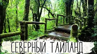Национальные парки северного Тайланда. Самая высокая точка Тайланда.