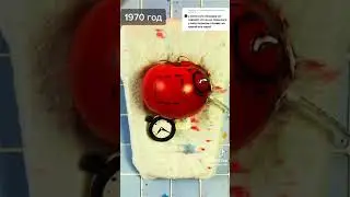 ЧАСЫ || Фруктовый Врач || TikTok