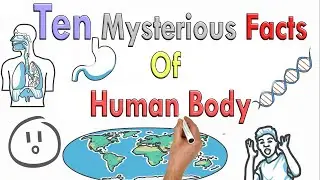 10 Amazing Facts about Human Body