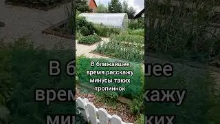🏡 Мой огород в стиле Прованс #огород #грядки #прованс
