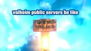 VALHEIM public servers BE LIKE