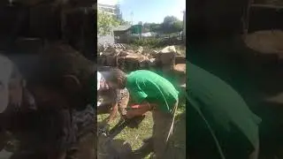 27 мая 2020 г.