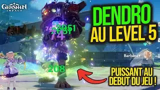 Meilleur SOUTIEN DENDRO! Guide complet du voyageur Dendro - Meilleure construction et vitrin| Shiisa
