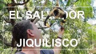 El Salvador 3. Bahía de Jiquilisco y Puerto Barillas