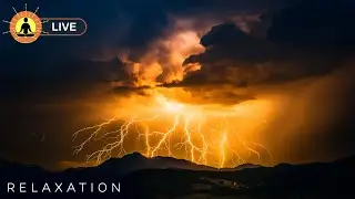 This live video has finished. To view our latest live stream, click the link below