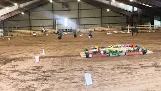 Lumos speed Working Equitation
