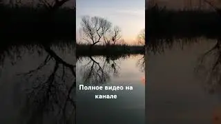 Рыбалка в Астрахани 