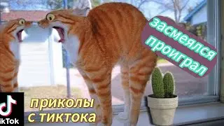 УГАРНАЯ ПОДБОРКА ФЕЙЛОВ ИЗ ТИКТОКА, 427 СЕКУНД СМЕХА!! КТО ЗАСМЕЁТСЯ ТОТ ПРОИГРАЛ!!😂😂😂