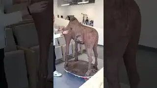 Смотри больше интересных видео у меня на канале #shorts #lifehacks #hack #life #fine # тик-ток