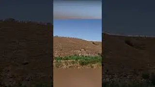 The Zulu Arrive For Battle
