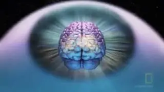 Sylvain Durif/Le Christ Cosmique (TRIPPY MUSIC VIDEO)